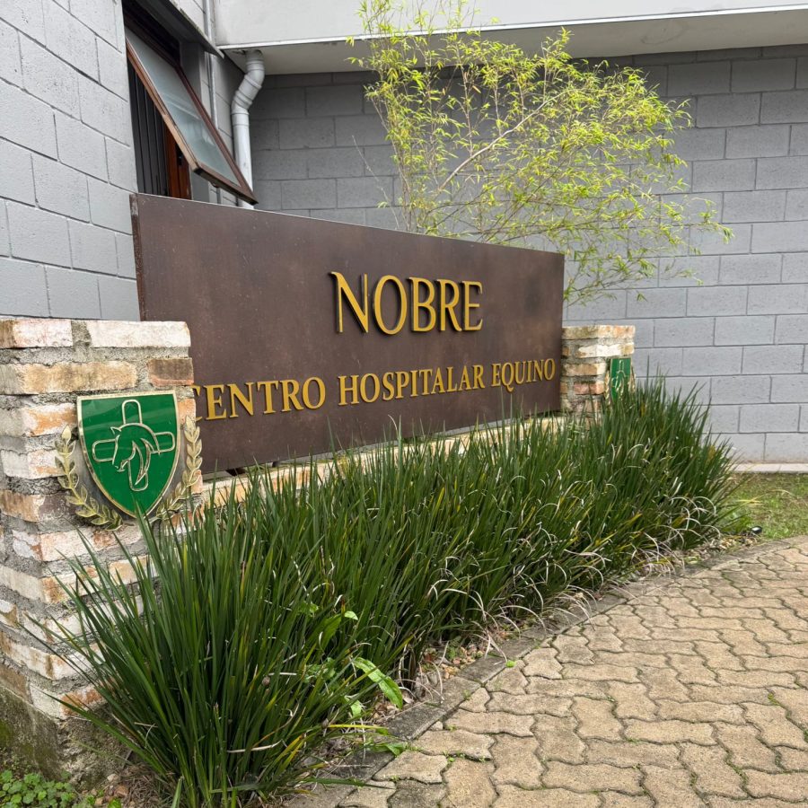 WhatsApp Image 2025-06-17 at 20.53.14