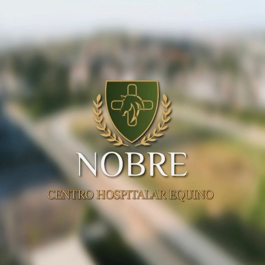 WhatsApp Image 2025-06-17 at 20.53.18 (2)