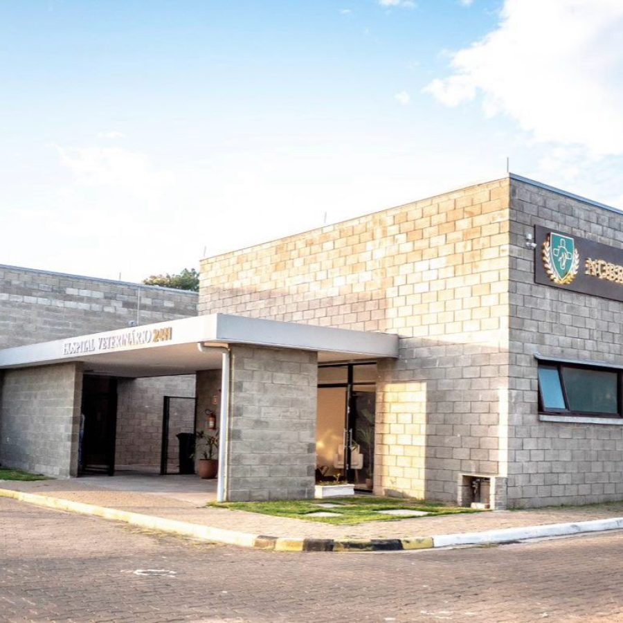 WhatsApp Image 2025-06-17 at 20.53.18