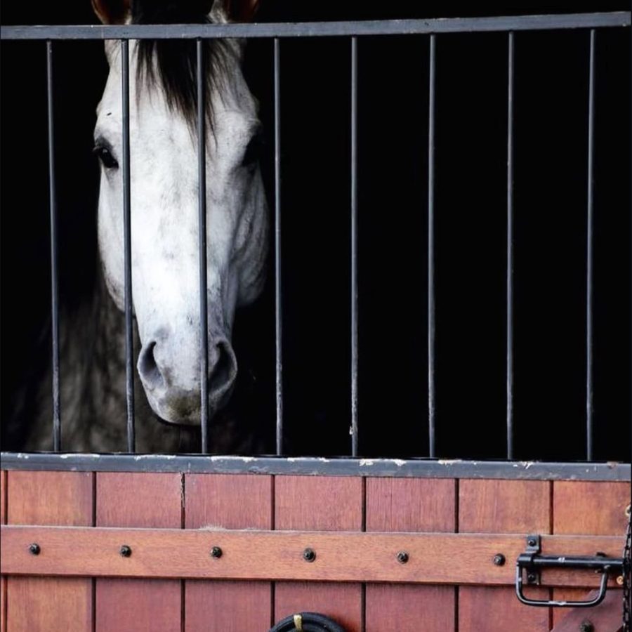 WhatsApp Image 2025-06-17 at 21.04.35