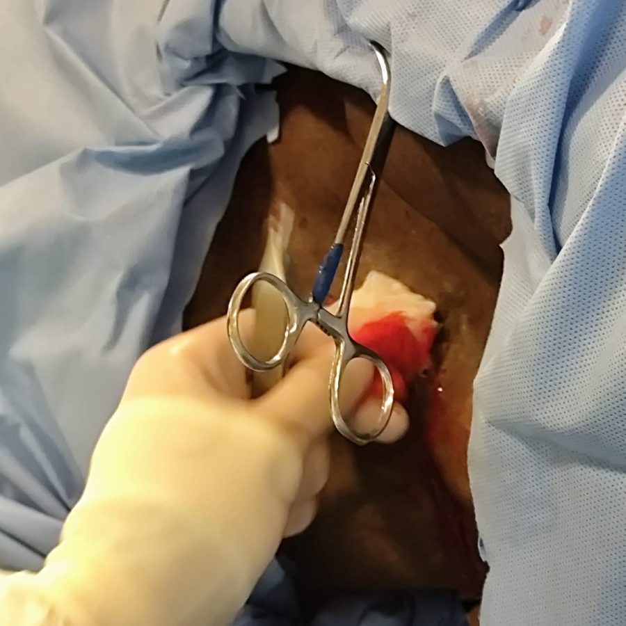 WhatsApp Image 2025-06-17 at 22.02.43 (2)