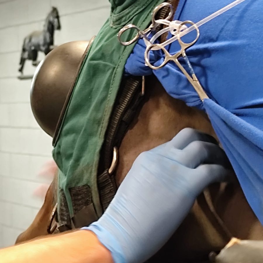 WhatsApp Image 2025-06-17 at 22.02.43 (4)