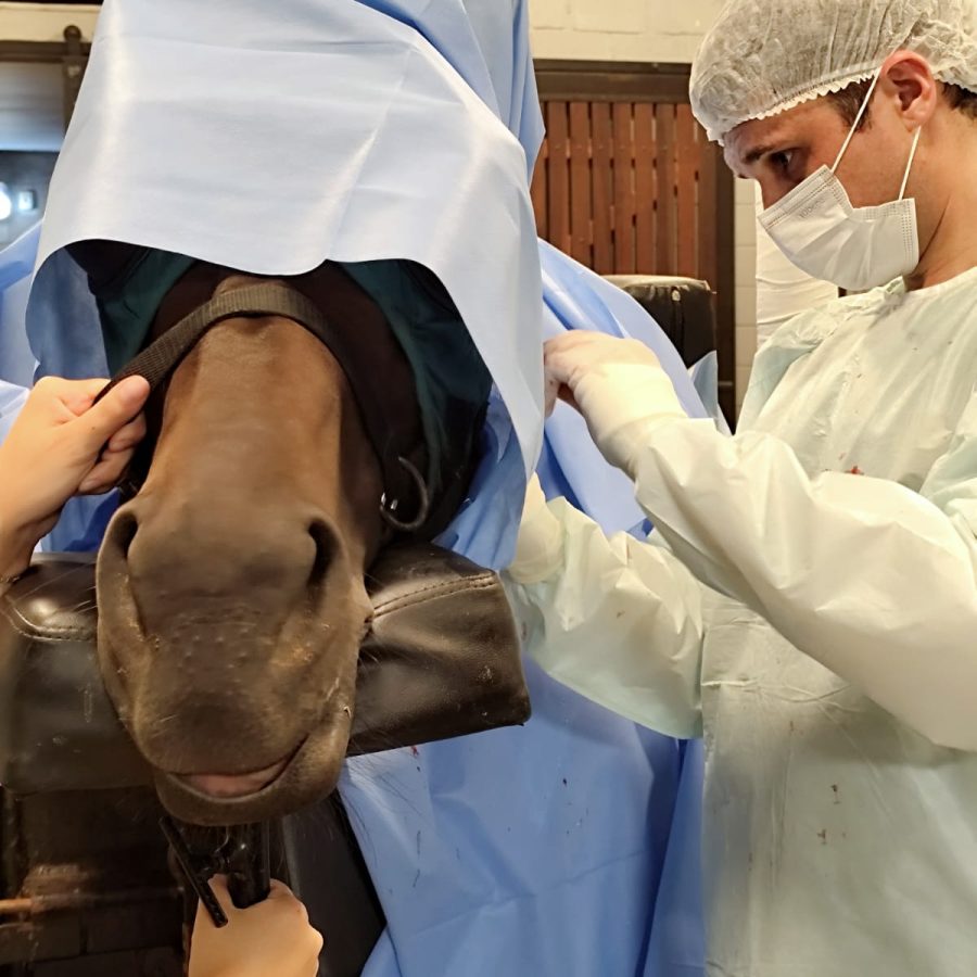 WhatsApp Image 2025-06-17 at 22.02.43