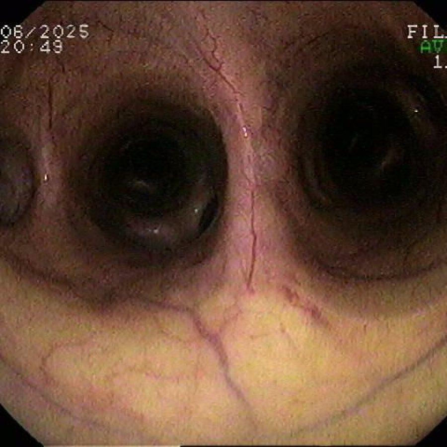 WhatsApp Image 2025-07-07 at 11.58.56