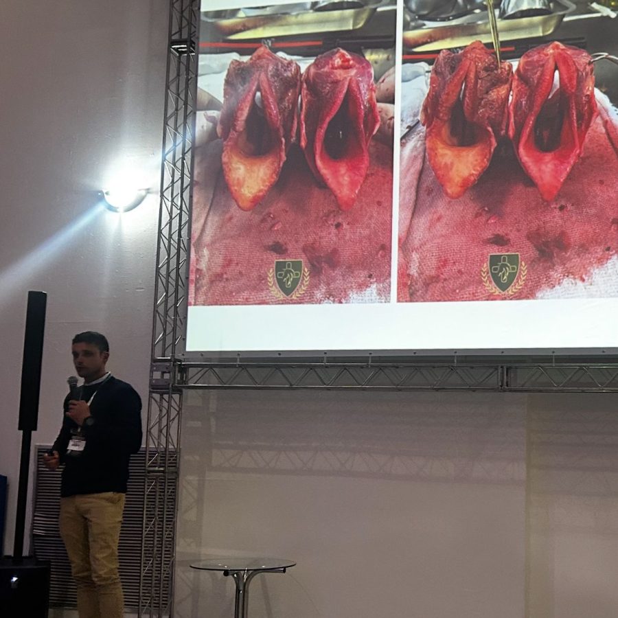 WhatsApp Image 2025-07-07 at 12.04.32