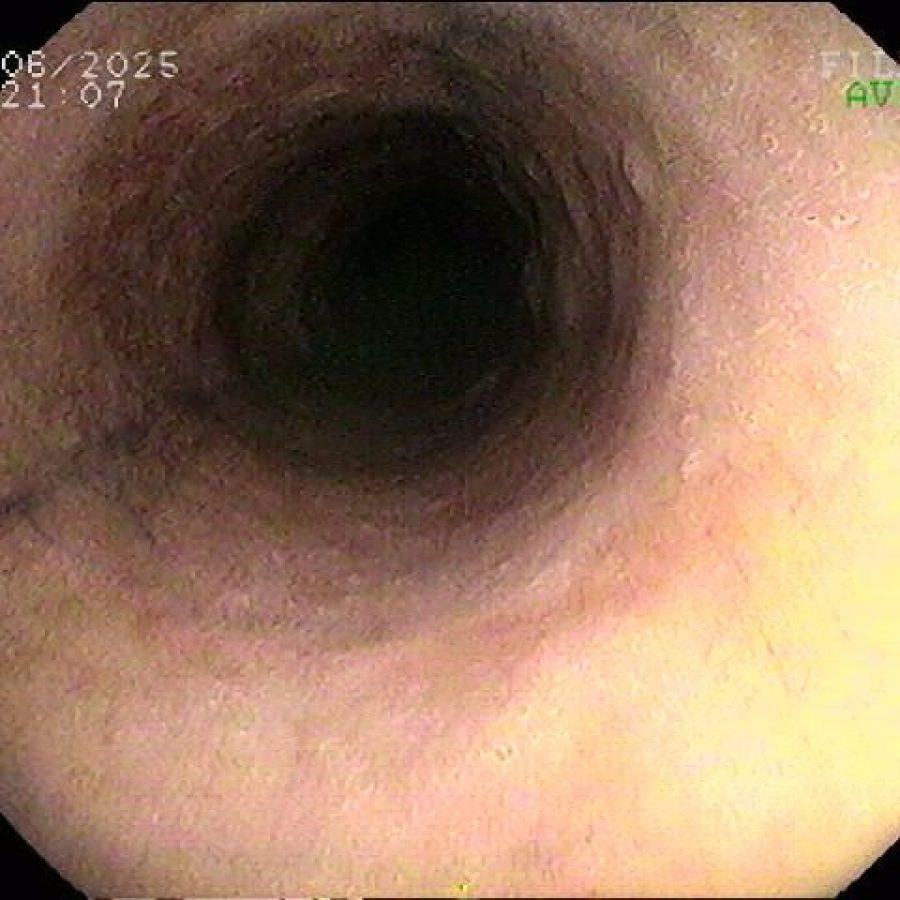 WhatsApp Image 2025-07-07 at 12.04.33 (1)