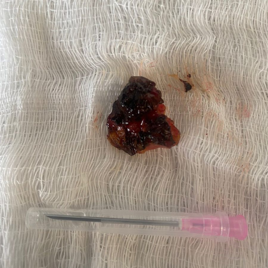 WhatsApp Image 2025-07-07 at 12.04.33 (3)