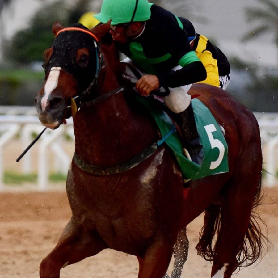 WhatsApp Image 2025-07-07 at 12.04.33 (5)